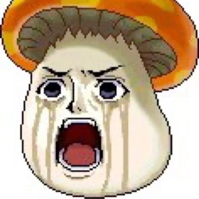 User thumbnail image