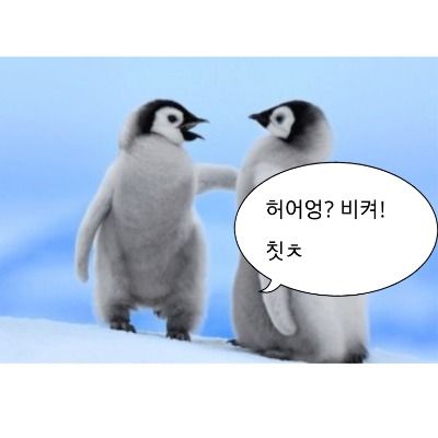 짤제작소