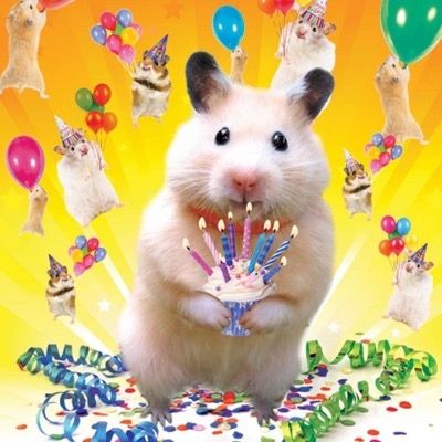 유포리아 공식 카뿜리 우림님의 생일 카페🥳