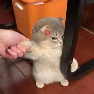 User thumbnail image