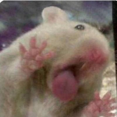 투딘
