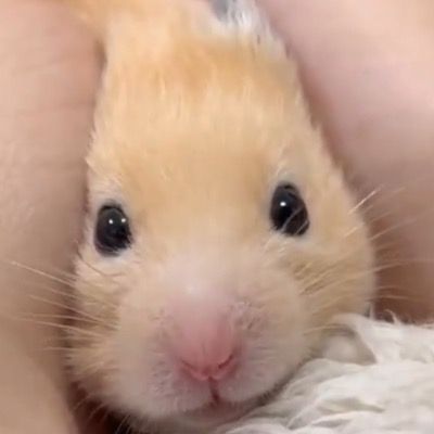 Curious thumbnail
