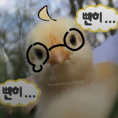 덕질하는병아리🐣