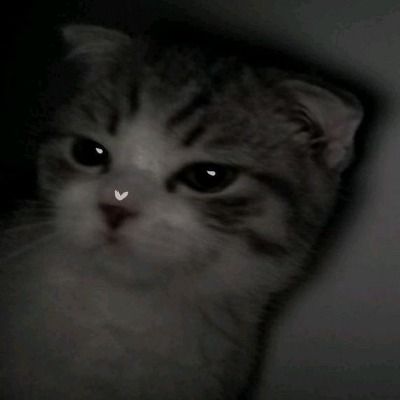 User thumbnail image