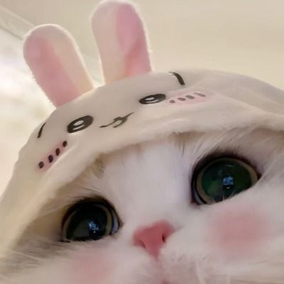 Curious thumbnail
