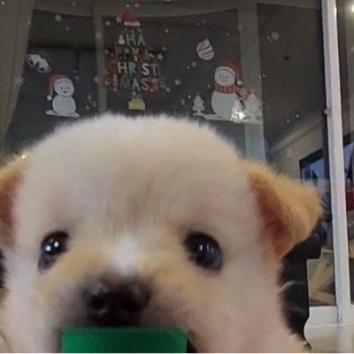 Curious thumbnail
