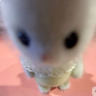 User thumbnail image