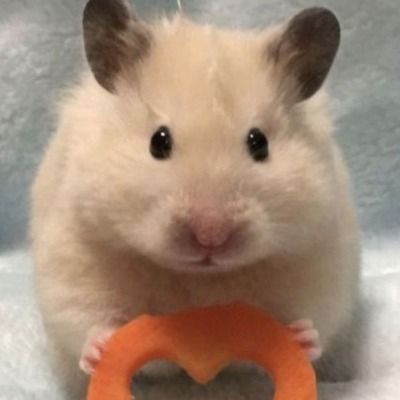 Curious thumbnail