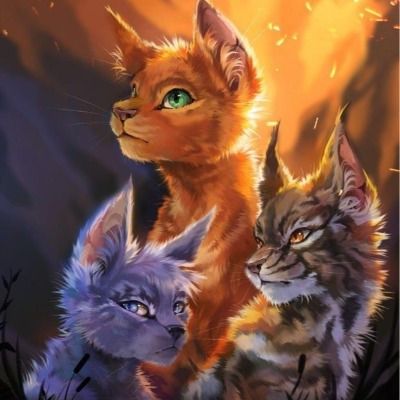 User thumbnail image