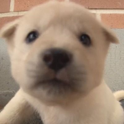 User thumbnail image