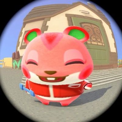 User thumbnail image