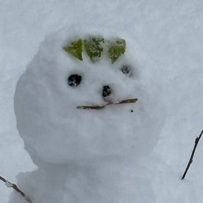 User thumbnail image