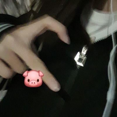배 은 유