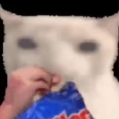 Curious thumbnail