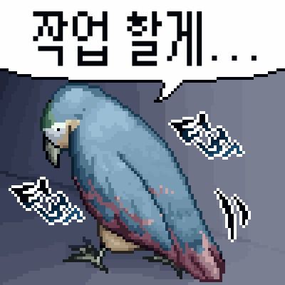 야행성