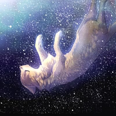 User thumbnail image