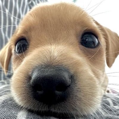 User thumbnail image