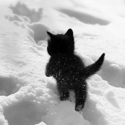 User thumbnail image