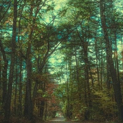 User thumbnail image