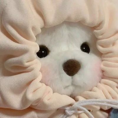 박또집