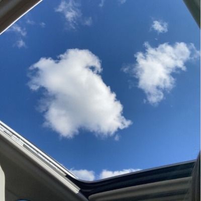 고사리 & 윤이레 라이브