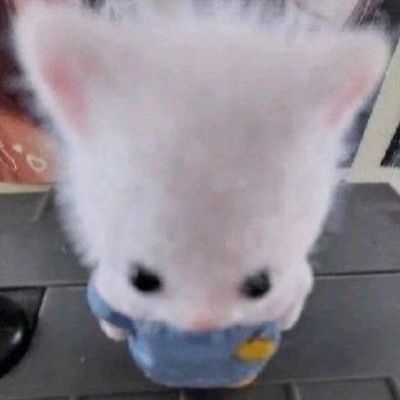 User thumbnail image