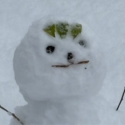 User thumbnail image