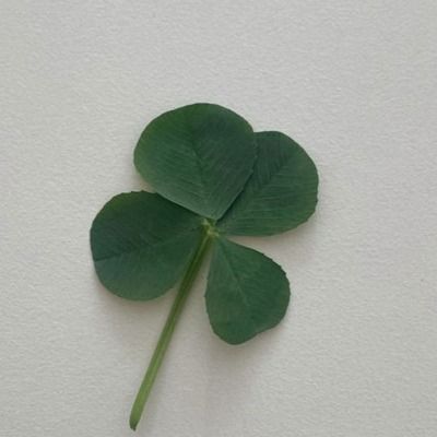 User thumbnail image