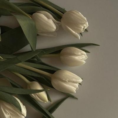 User thumbnail image