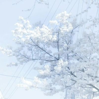 룐뇬