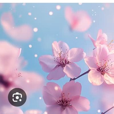 연작가 큐리어스