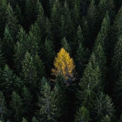 User thumbnail image