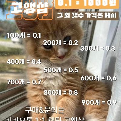 도배 해드립니다 고앵샵