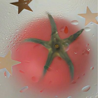 🍅🥫🍓 𝑇𝑜𝑚𝑎𝑘𝑢