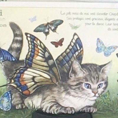 아퀴 | 사찾 : 설탕노움