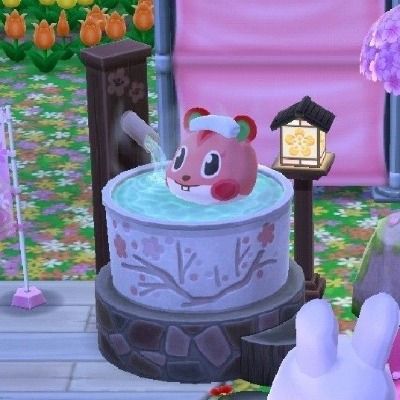 큐리어스 랭크 매기기