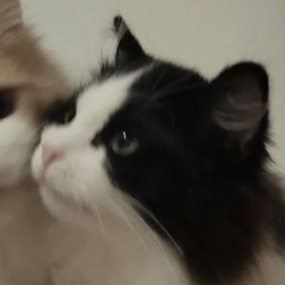 이하솜한테소베발린백주원