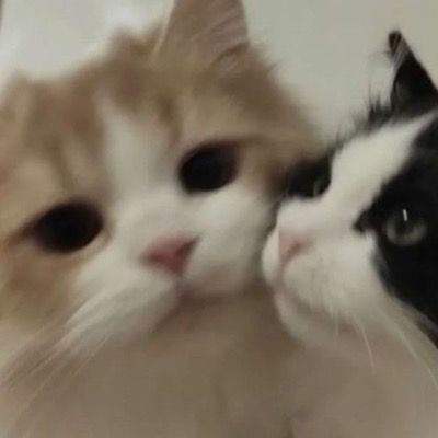 User thumbnail image