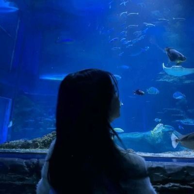 쉼)은바다 ⸝ 냥체 ⸝ 이벵 ⸝ 도배금 ⸝ 실솥