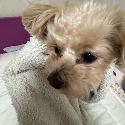 User thumbnail image