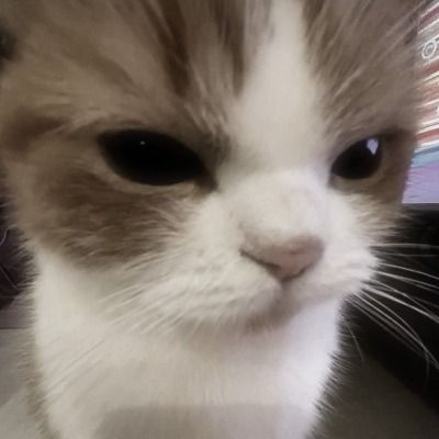 별명 추천해주세요