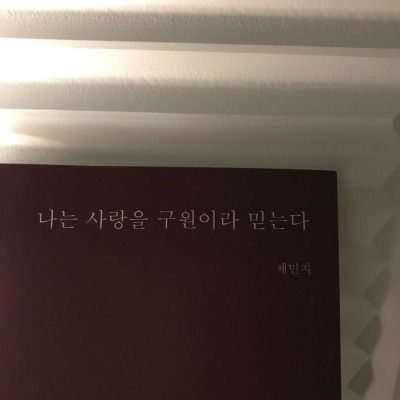 자유게시판 큐리어스