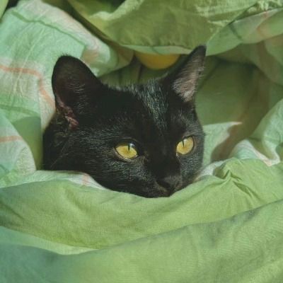 울 뉴림여부 자랑계