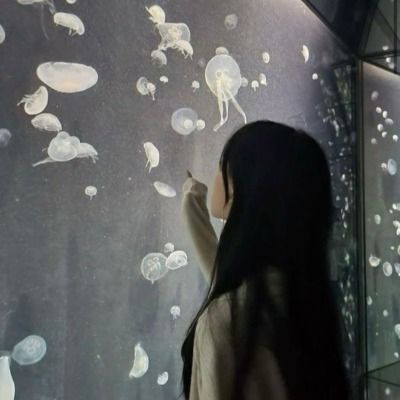 설챼원  ⨾  이벵 ⨾ 완접 | 이벵 끝