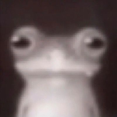 frogggg