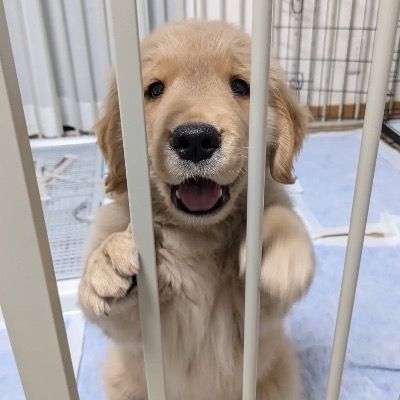 User thumbnail image