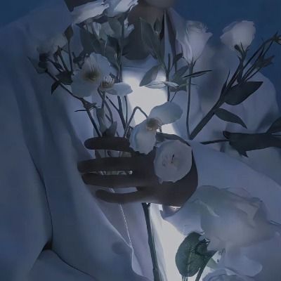 그림게시판 익명 큐리어스