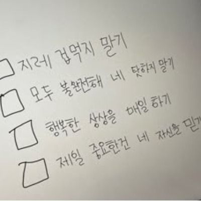 한도아 관찰일지