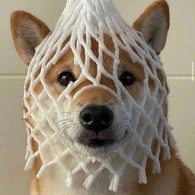 User thumbnail image