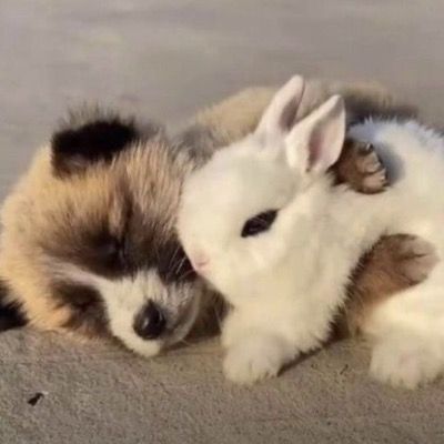 User thumbnail image